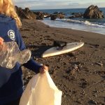 Cal Major - Paddle Against Plastic