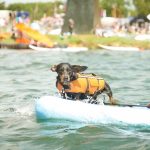 National Watersports Festival 2018