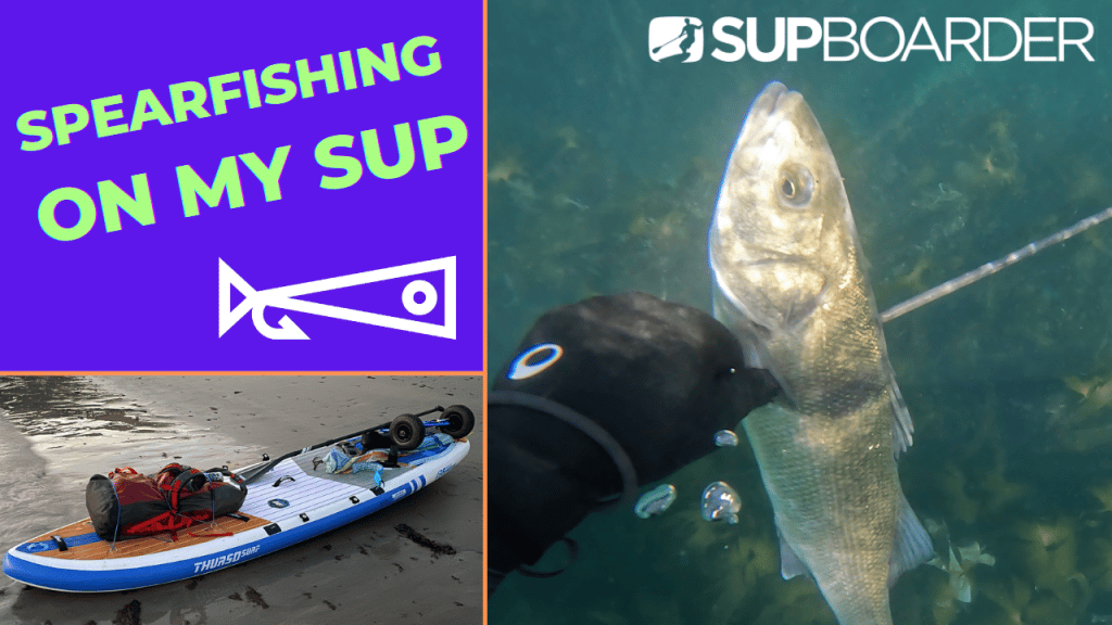 Spearfishing with my SUP / Reuben’s blog
